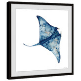 Galerie Art Co Wild Stingray Framed Printed Wall Art