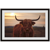 Galerie Art Co Sunset &amp; Cows Framed Paper Print Wall Art