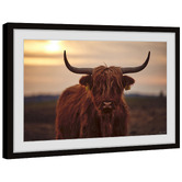 Galerie Art Co Sunset &amp; Cows Framed Paper Print Wall Art