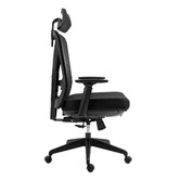 Cora Home Living Brandy Ergonomic Office Chair