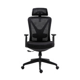 Cora Home Living Brandy Ergonomic Office Chair