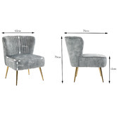Cora Home Living Amandeep Velvet Accent Chair