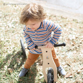 Lifespan Kids  Scout Balance Bike &amp; Trike