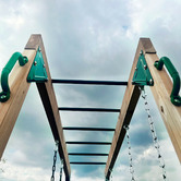 Lifespan Kids Lifespan Kids Daintree 2-in-1 Monkey Bars &amp; Swing