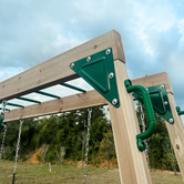 Lifespan Kids Lifespan Kids Daintree 2-in-1 Monkey Bars &amp; Swing