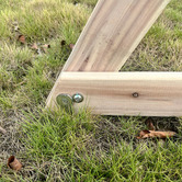 Lifespan Kids Lifespan Kids Daintree 2-in-1 Monkey Bars &amp; Swing