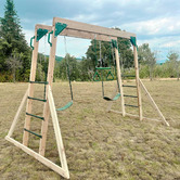 Lifespan Kids Lifespan Kids Daintree 2-in-1 Monkey Bars &amp; Swing