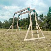 Lifespan Kids Lifespan Kids Daintree 2-in-1 Monkey Bars &amp; Swing