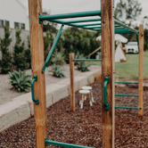 Lifespan Kids Lifespan Kids Amazon Monkey Bars Only