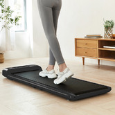 Red Star Fitness Lifespan Fitness M2 WalkingPad Treadmill