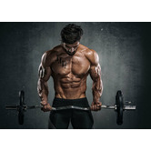 Red Star Fitness Olympic Ez Curl Bar with Spring Collar