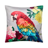 Luxotic Chintz Parrot Square Velvet Cushion