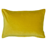 Evelyn Home Lush Velvet Lumbar Cushion