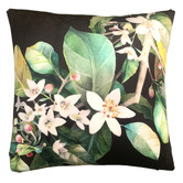 Evelyn Home Daylesford Velvet Cushion