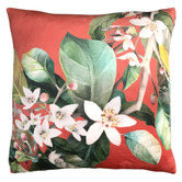 Evelyn Home Daylesford Velvet Cushion