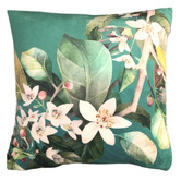 Evelyn Home Daylesford Velvet Cushion