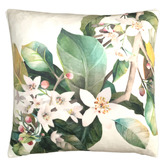 Evelyn Home Daylesford Velvet Cushion
