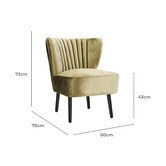 Brooklyn and Bella Coco Velvet Accent Chair