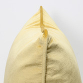 Brooklyn and Bella Laine Piped Square Velvet Cushion