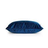 Brooklyn and Bella Hermann Piped Rectangular Velvet Cushion