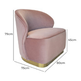 Brooklyn and Bella Blush Eognagh Velvet Accent Chair