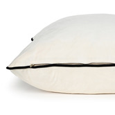 Brooklyn and Bella Roche Square Velvet Cushion