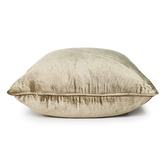 Brooklyn and Bella Roche Square Velvet Cushion