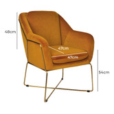 Brooklyn and Bella Dover Velvet Armchair