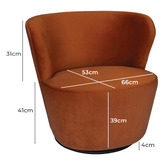 Brooklyn and Bella Raeley Velvet Swivel Chair