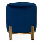 Brooklyn and Bella Annalise Velvet Upholstered Ottoman