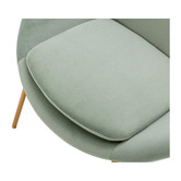 Oslo Home Zaire Velvet Accent Chair