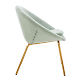 Oslo Home Zaire Velvet Accent Chair