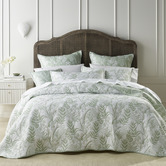 Bianca Sage Eden Bedspread Set