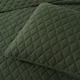Bianca Lester Velvet Coverlet Set