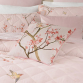Bianca Evelyn Velvet Cushion