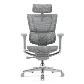 Milan Direct Ergohuman Premium Fit IOO High Back Office Chair