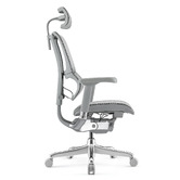 Milan Direct Ergohuman Premium Fit IOO High Back Office Chair