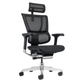 Milan Direct Ergohuman Premium Fit IOO High Back Office Chair