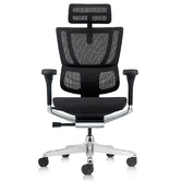 Milan Direct Ergohuman Premium Fit IOO High Back Office Chair