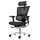 Milan Direct Ergohuman Premium Fit IOO High Back Office Chair