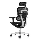 Milan Direct Ergohuman Plus Elite V2 Mesh Office Chair