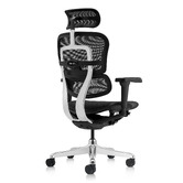 Milan Direct Ergohuman Plus Elite V2 Mesh Office Chair