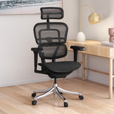 Milan Direct Ergohuman Plus Elite V2 Mesh Office Chair