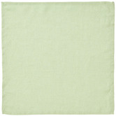 Linen House Wasabi Nimes Linen Napkins