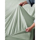 Linen House Terra Organic Cotton Sheet Set