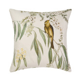 Linen House Eppalock Cotton Sateen European Pillowcase
