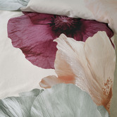 Linen House Ellie Cotton Sateen Quilt Cover Set
