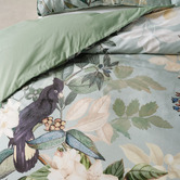 Linen House Blair Cotton Sateen Quilt Cover Set