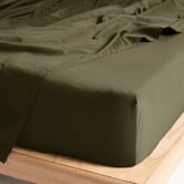 Linen House Augusta 500TC Cotton Sateen Fitted Sheet