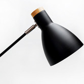 Luminea Scandinave 1 Light Metal Floor Lamp